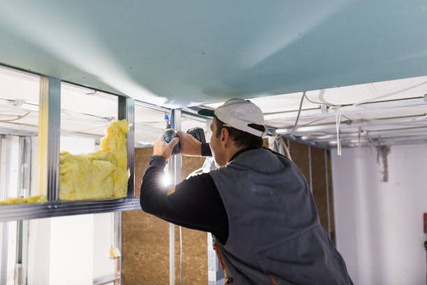 Best Geographic-Specific Insulation Services in Lawtey, FL